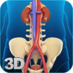 Logo of Urinary System android Application 