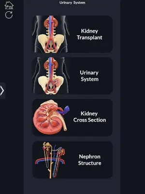 Urinary System android App screenshot 0