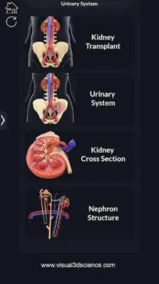 Urinary System android App screenshot 2